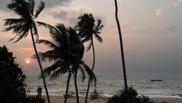 изображение Почему Шри-Ланка – это курортная зона, которая подходит всем?